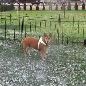 Meet your Posher, Cheryl